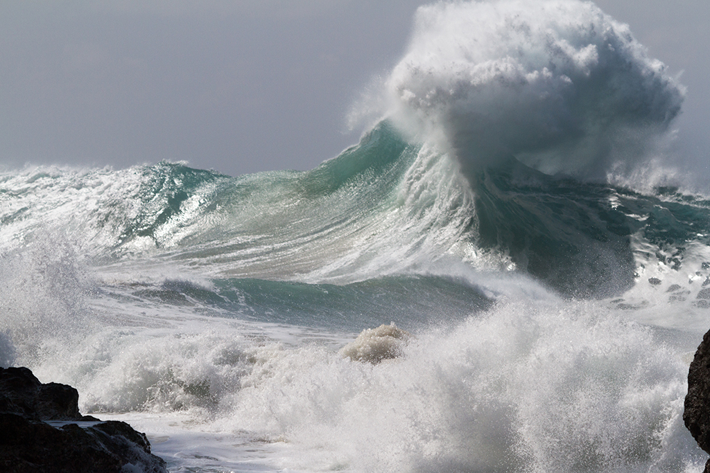 Kauai - 27.jpg